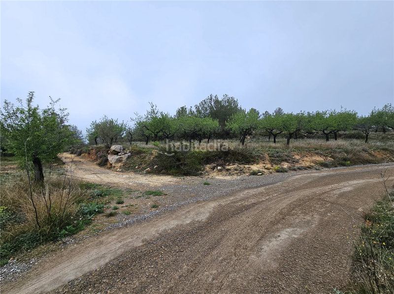 Foto 264e5071-0990-4dc0-bfde-d6fe1445b2ee. Terreny residencial a Altura