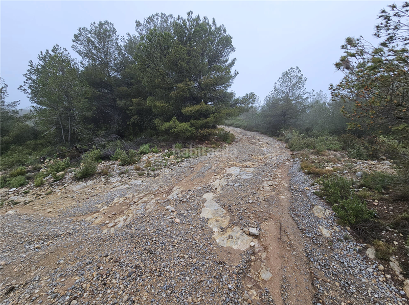 Foto 42547316-16c5-4656-ad15-d7c6631420bb. Terreny residencial a Altura