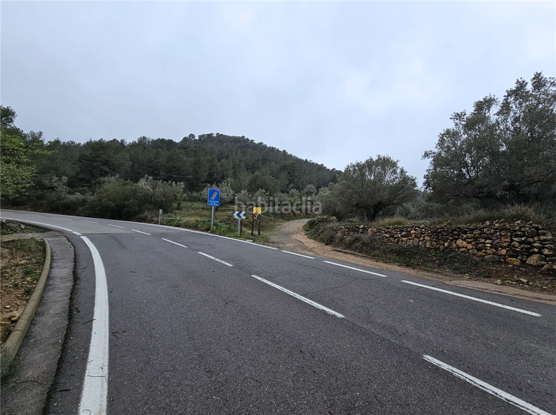 Foto 662dbaa2-5ff4-497d-b787-be11073475b9. Terreny residencial a Altura