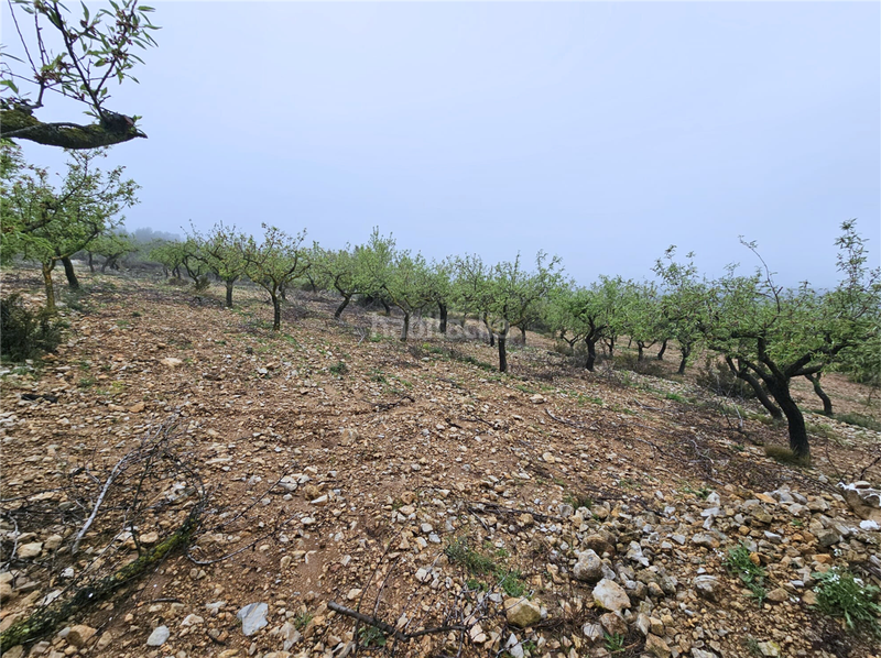 Foto 7834bcb2-271e-4529-ae24-ff7204c93756. Terreny residencial a Altura