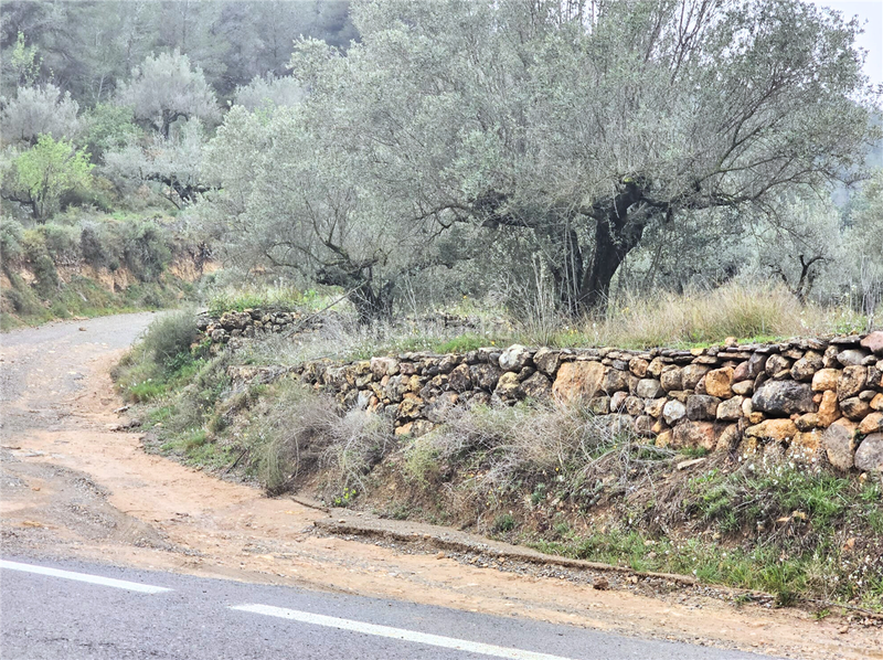 Foto bc48aa35-1657-4a53-b2a4-165a67b79e3a. Terreny residencial a Altura