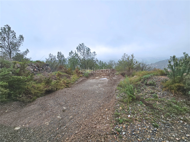 Foto d7cfcb35-a6b8-4358-82bc-0ebb144cddf4. Terreny residencial a Altura