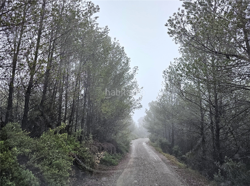 Foto e482d660-da1a-4daa-99d9-58c8608b4f3b. Terreny residencial a Altura