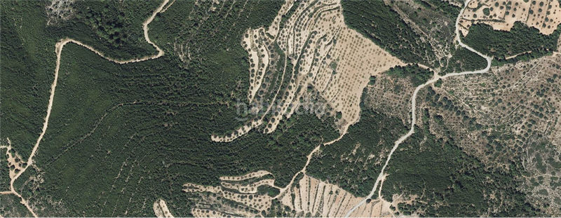 Foto ec9a826e-a411-46fc-ab23-88a65f9a3478. Terreny residencial a Altura