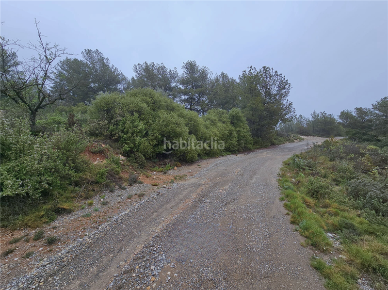 Foto f24d7e66-8238-425c-8469-10d73ffd956e. Terreny residencial a Altura