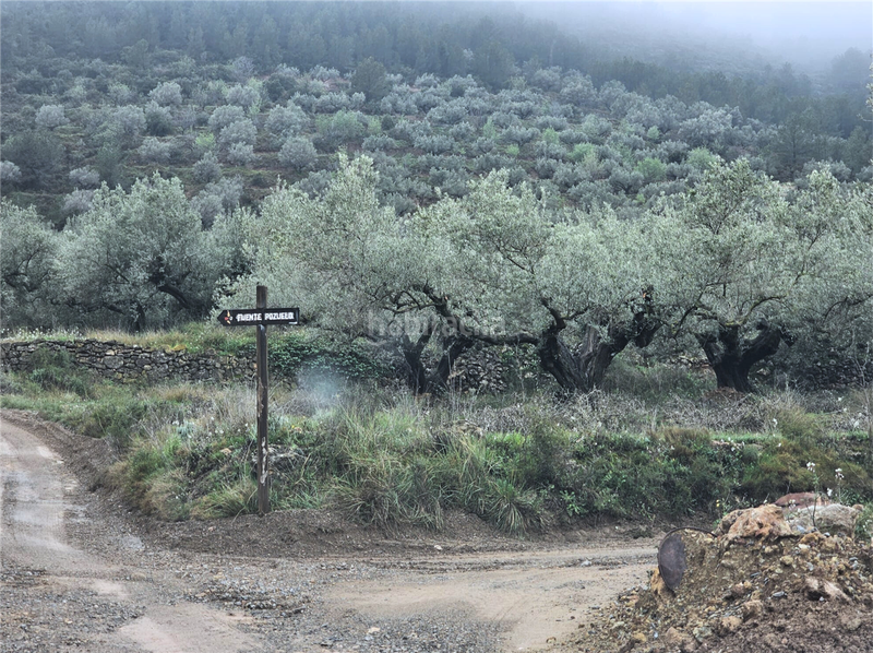 Foto f90cce19-2c1b-45c1-8949-f3efe5e8c5ef. Terreny residencial a Altura