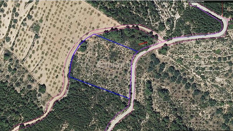 Foto fe1f8437-e637-4cf9-9402-e5d52cd71a96. Terreny residencial a Altura