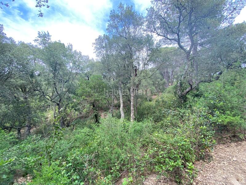 Foto 3aa97295-0e80-4d5f-9542-d5932b415228. Residential plot in Mas Pere-Río de Oro Calonge