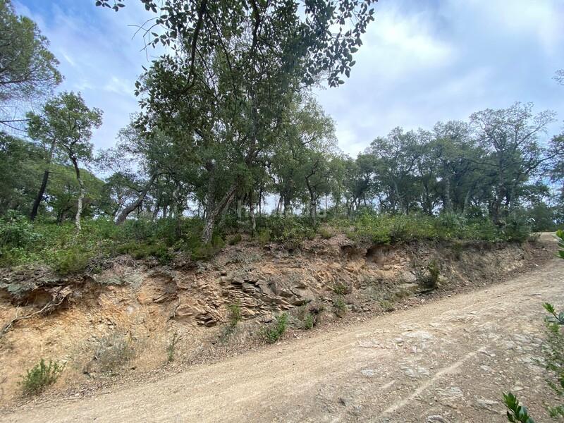 Foto a848fd70-4761-43a4-8adb-7ac44fcb7b26. Residential plot in Mas Pere-Río de Oro Calonge