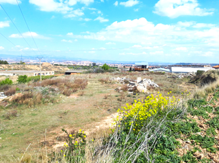 Residential Plot  13