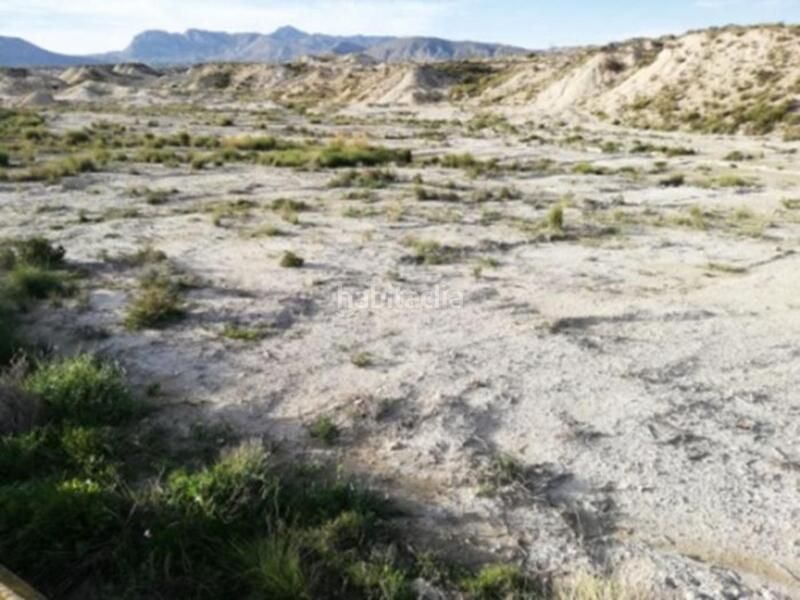 Foto 08459c21-8587-4d36-8a2e-47f4e16a7446. Terreny residencial a Abanilla