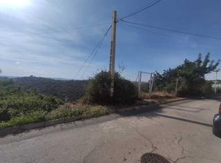 Terreny residencial  Puig de bassegoda