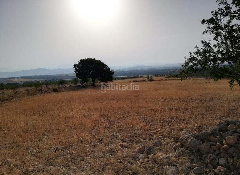 Foto cbff0b4a-458c-4a26-a7e0-fcdb0b4bd825. Terreno residencial en Fontanares Lorca