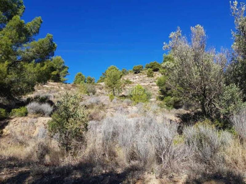 Foto 40a51b99-ba65-4c24-94e7-f98613d5a970. Terreno residencial en Finestrat pueblo Finestrat