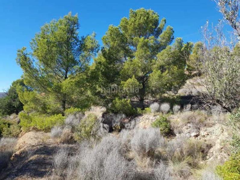 Foto 7922ed85-9d46-44bd-8760-2f717b8b6193. Terreno residencial en Finestrat pueblo Finestrat