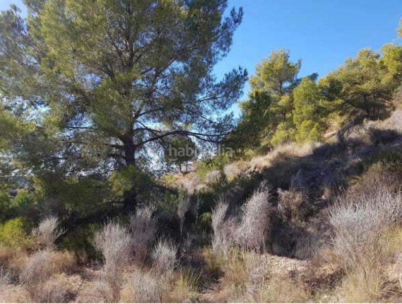 Foto 43f81804-e26a-40cf-bfea-a51c73eccbae. Wohngrundstück in Finestrat pueblo Finestrat