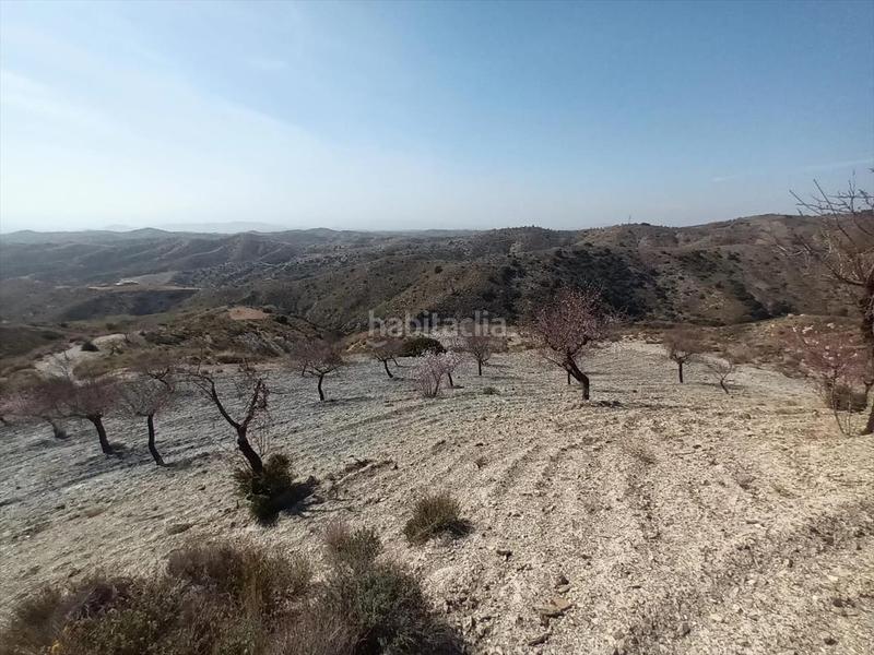 Foto a75b576b-d329-49a5-a96d-0210e2ea22db. Terreno residenziale in Huércal - Overa