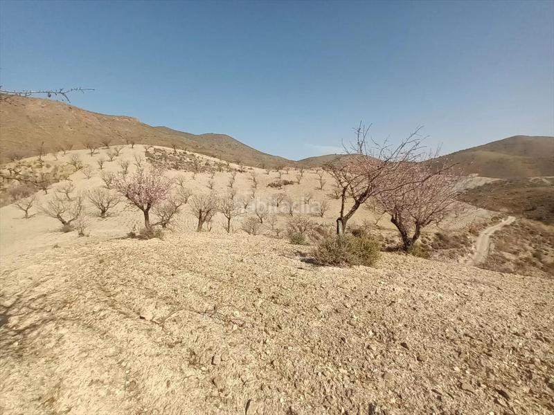 Foto ccbe97bb-4c9c-42d2-8895-99ee95b5aa13. Terreno residenziale in Huércal - Overa