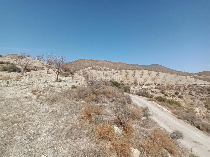 Foto cf6ba03a-9175-43ad-8b3c-52180dea5b7b. Terreno residenziale in Huércal - Overa