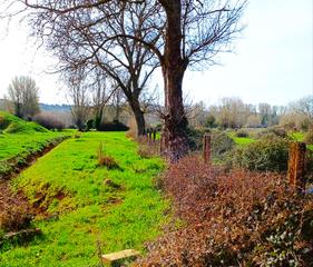 Residential Plot  Clarin-vo