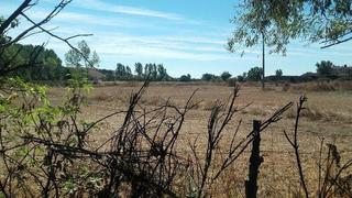 Terrain résidentiel  Paraje tras el prado nuevo, poligono 5, parcela