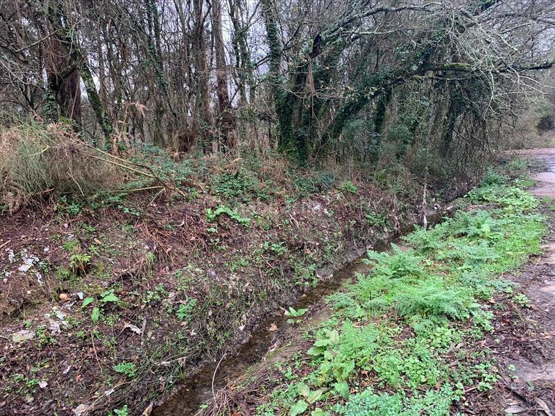 Foto 53dba480-6c52-4261-905a-28b92daceb88. Terreny residencial a Porriño (O)