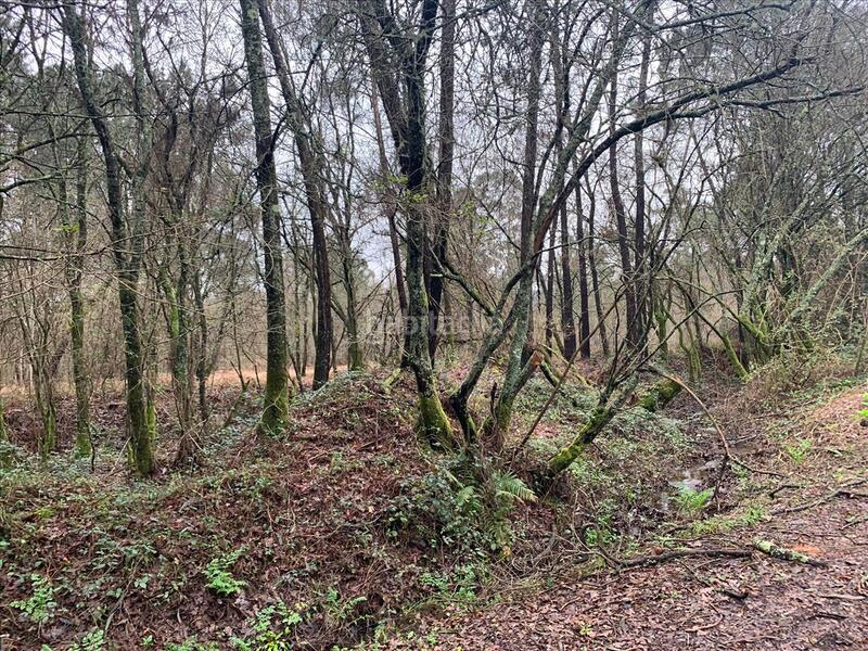 Foto 5881e72c-bbf2-4afe-ac16-88a6372a11c9. Terreny residencial a Porriño (O)