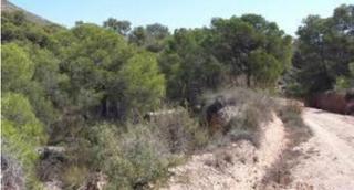 Wohngrundstück  Lloba. cervera del maestre