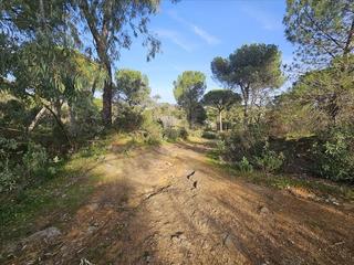 Terreno residencial  Cerro muriano