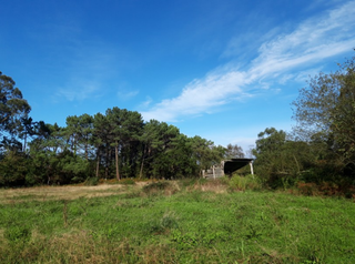 Wohngrundstück in OVIÑANA Polígono 13 Parcela