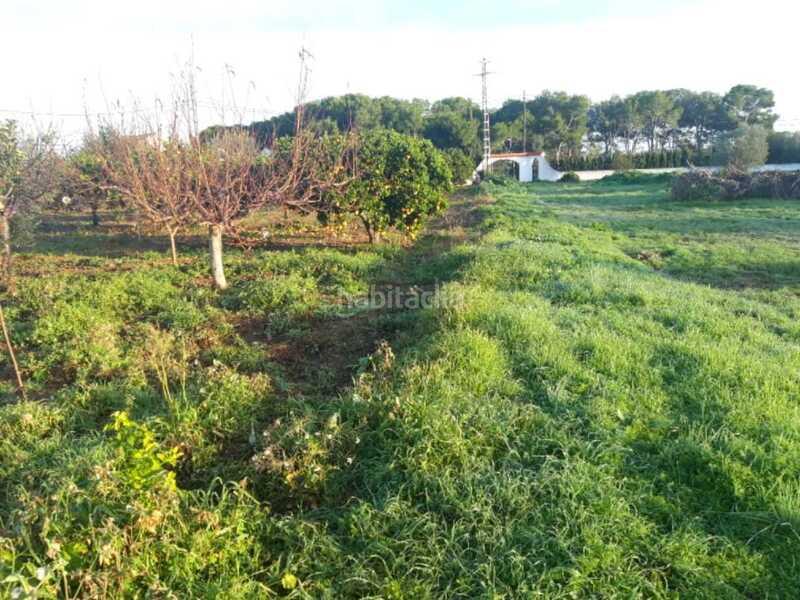 Foto 137ec165-1ce0-483f-aefe-34e276c5c15d. Terreno residencial en Boverals-Saldonar Vinaròs