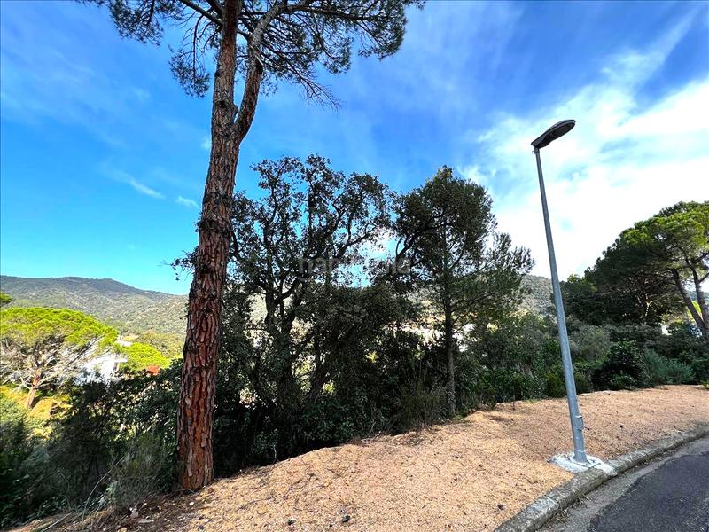Foto 26e6d31b-de9a-4841-927a-cbc58228c4c3. Terreno residencial en Rosamar Santa Cristina d´Aro