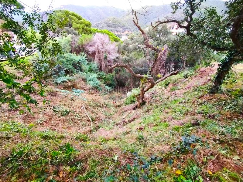 Foto e610cec7-5891-4401-8a70-6d7045d57fea. Terreno residencial en Rosamar Santa Cristina d´Aro