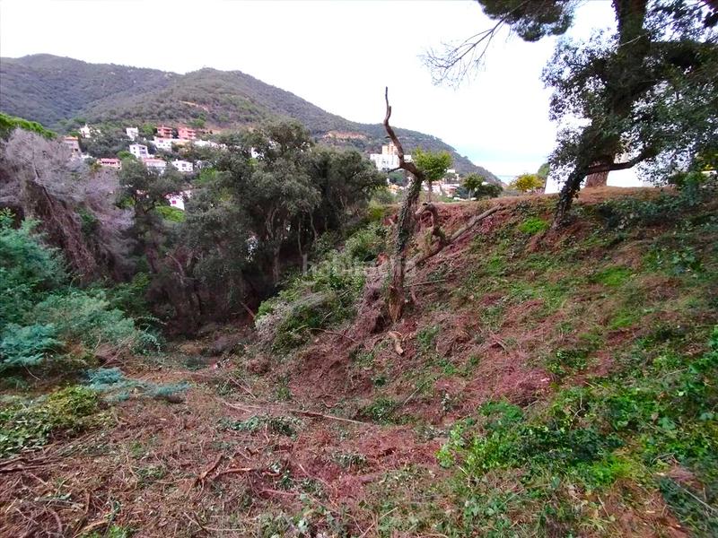 Foto c8bbcfcb-1b71-4ea0-97ec-8c53748ead25. Terreno residenziale in Rosamar Santa Cristina d´Aro