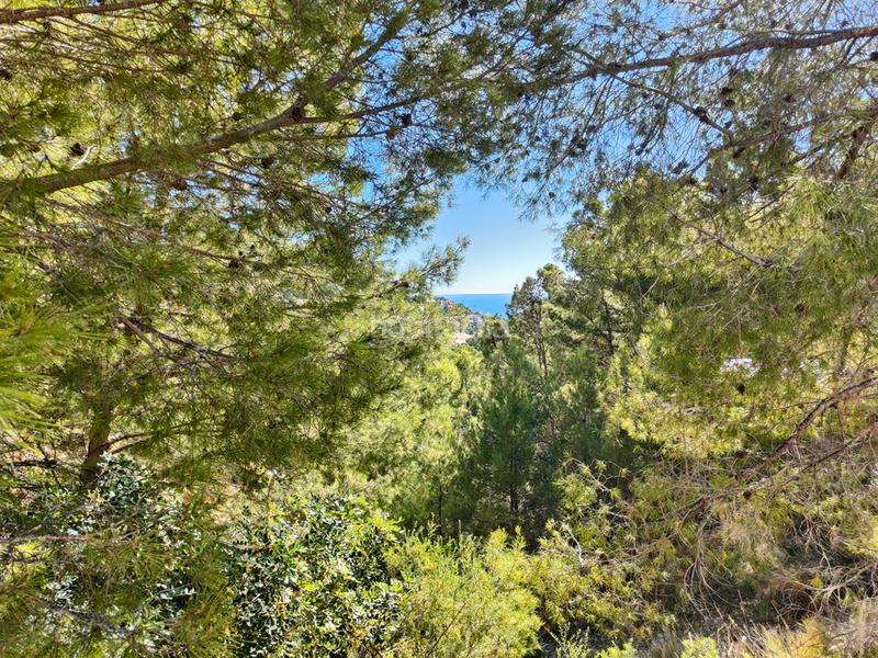 Foto eb085d0b-7b6a-4d3e-a013-4fa1f5e7ec1c. Terrain résidentiel dans Altea hills Altea