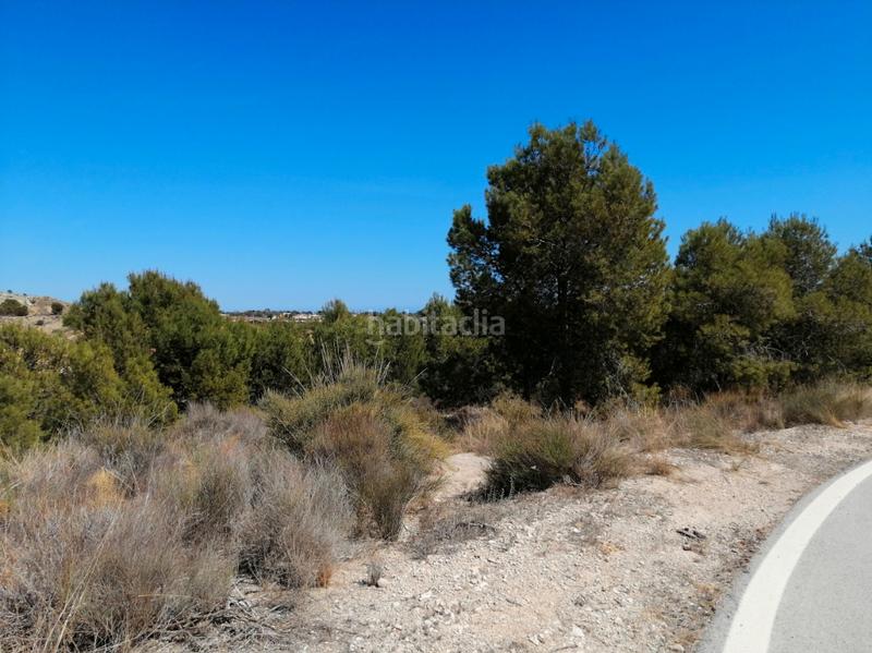 Foto 072d4015-7ad1-4fa4-9451-696bc4d319d9. Wohngrundstück in Moralet Alicante