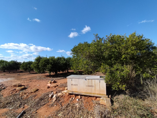 Terreno residenziale  Paraje benadresa- polig 92-parc 15 y 16