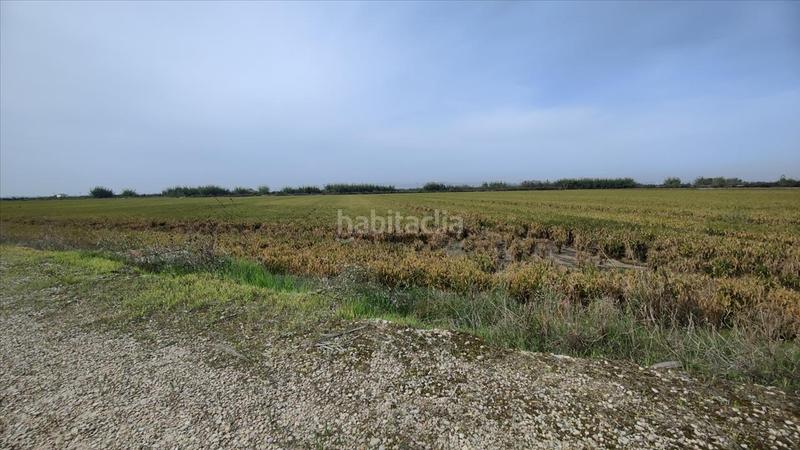 Foto ddab5018-2231-456a-937c-942c2a40adf2. Residential plot in Sollana