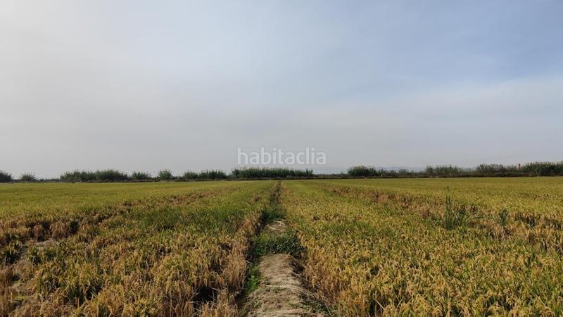 Foto 5a5029d9-f633-46bf-aaad-aadaa1618238. Terreno residenziale in Sollana