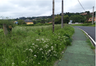 Residential Plot  Carta