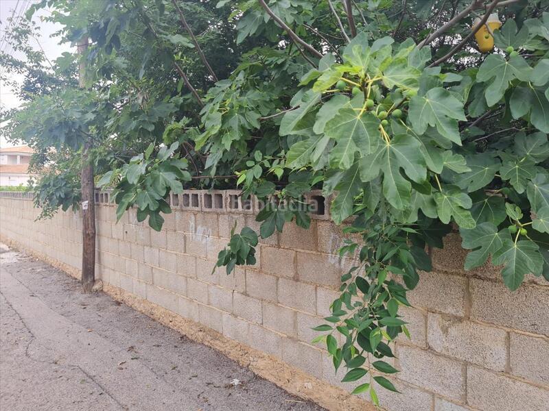 Foto 217417c5-56d2-437e-a7e9-ab5ab0075620. Residential plot in Picassent