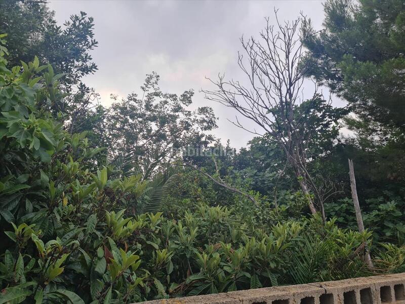 Foto 3eb0ea23-aa7a-4918-af52-0f0bcd212536. Residential plot in Picassent