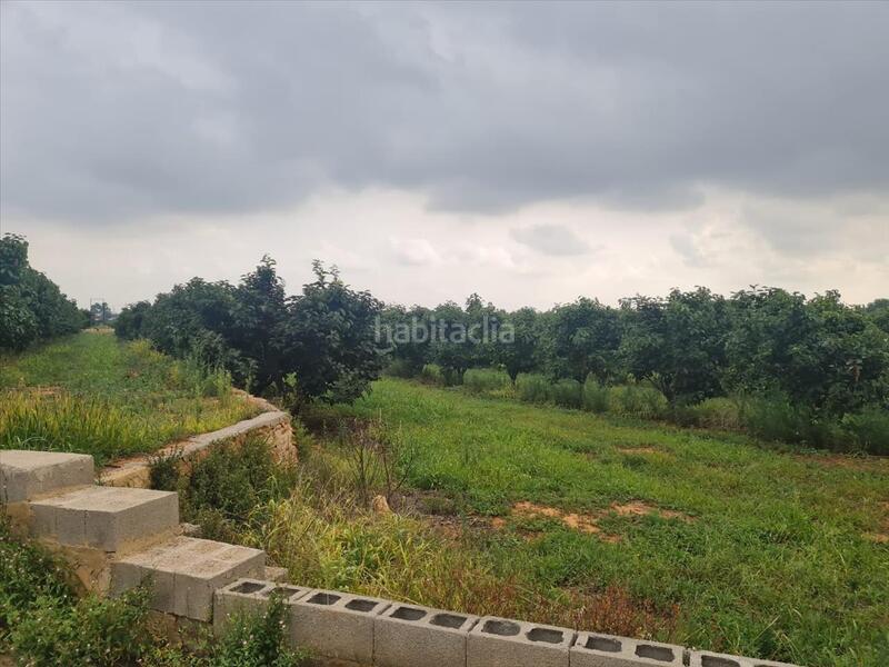 Foto d49f3032-9d99-4ad1-9626-9932b7cbce97. Residential plot in Picassent