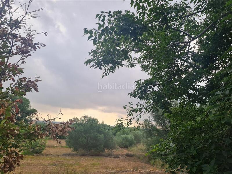 Foto e3fa0831-0cfe-478b-a667-87372eaf9ea4. Residential plot in Picassent