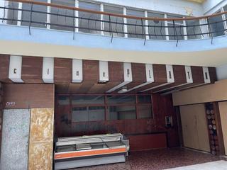 Business premise  Urzaiz