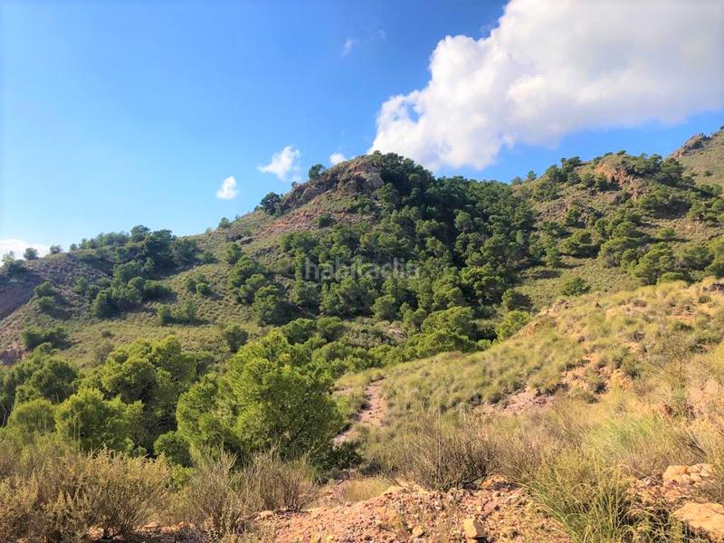 Foto 4bd84400-6db3-4a7a-83a7-35a78cb837f0. Terreno residencial en La Hoya Lorca