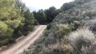 Terreno residencial  Lorca