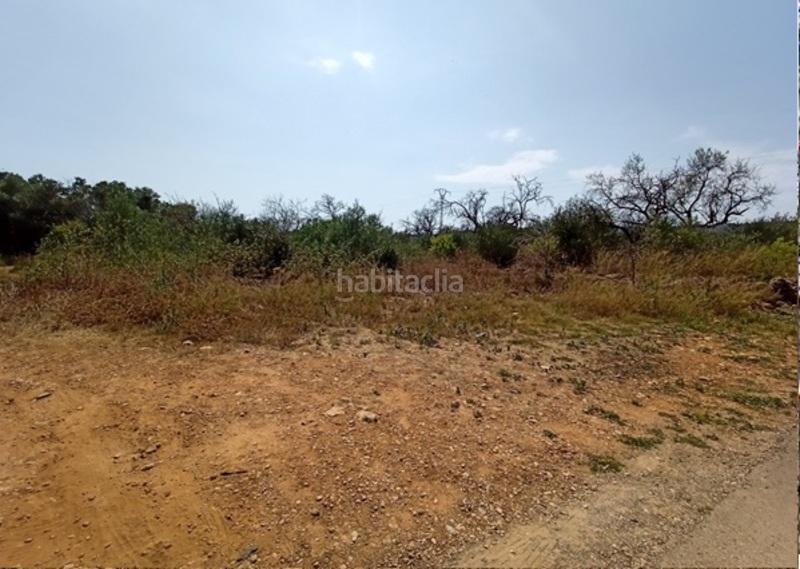 Foto 8a8843f6-8441-4caa-871e-748c358f9e73. Residential plot in Alcalà de Xivert