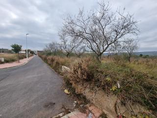Residential Plot  Alio