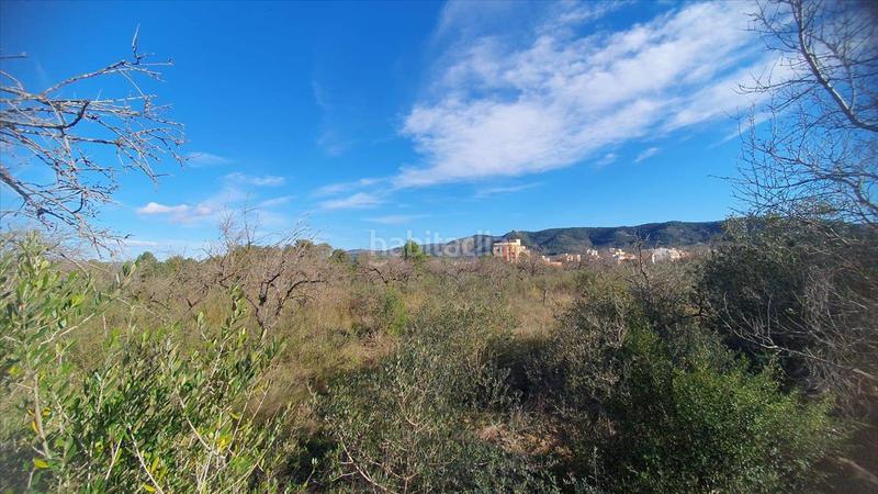 Foto 244dfa3e-a62b-4a85-bab6-07451cb449f6. Terrain résidentiel dans Alcalà de Xivert